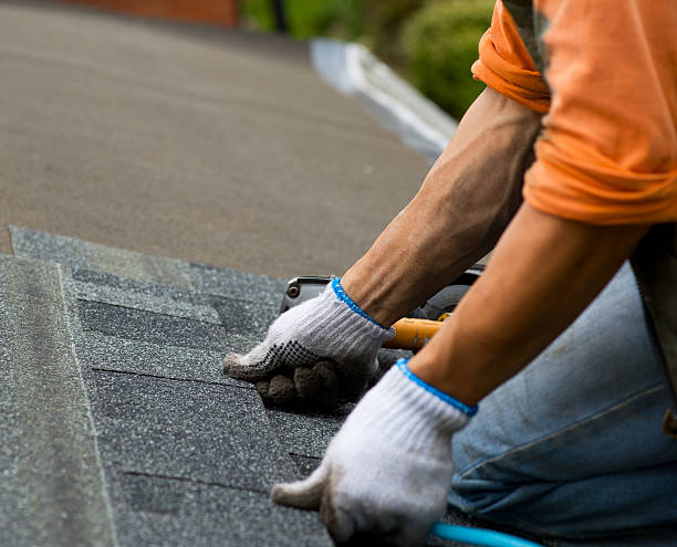 Best Roof Gutter Cleaning  in Hanover, OH